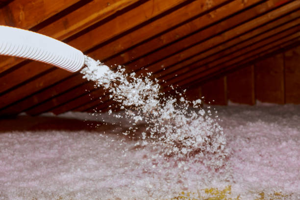Best Insulation Maintenance and Repair in Rainbow Park, FL