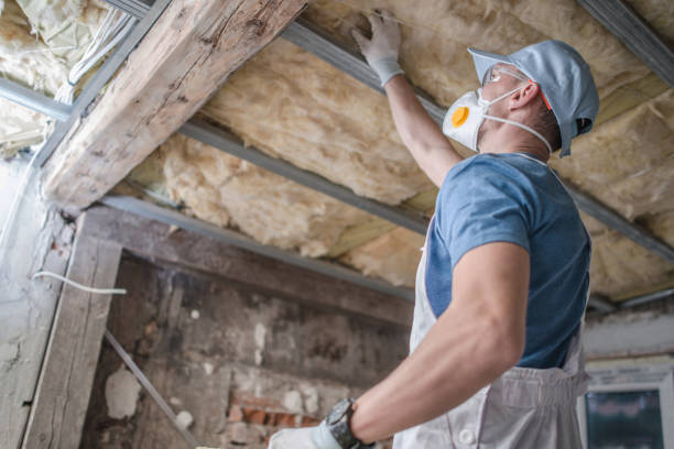 Best Types of Insulation in Rainbow Park, FL
