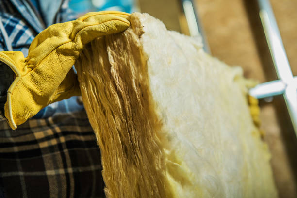 Best Insulation for Specific Applications in Rainbow Park, FL