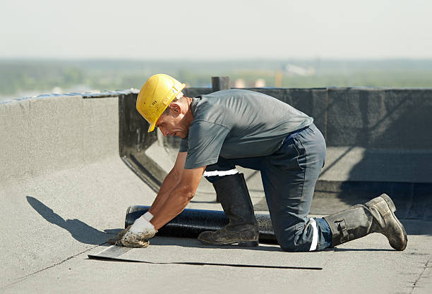 Best Specialty Insulation in Rainbow Park, FL